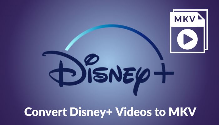 convertir disneyplus videos a mkv