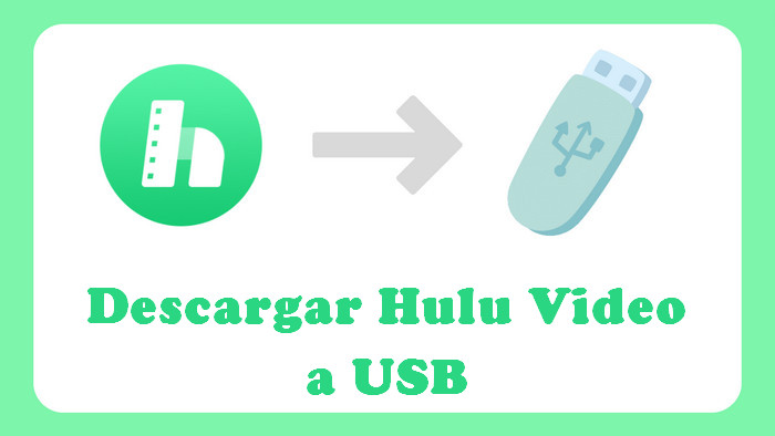 descargar videos de hulu a usb