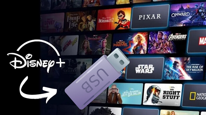 bajar videos de disneyplus en usb