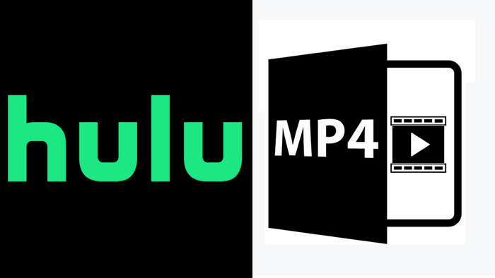 descargar hulu video a mp4