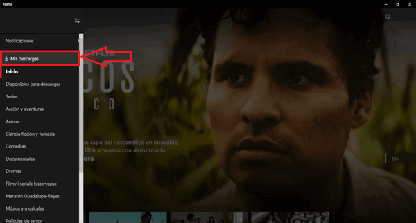 video decargada de netflix app